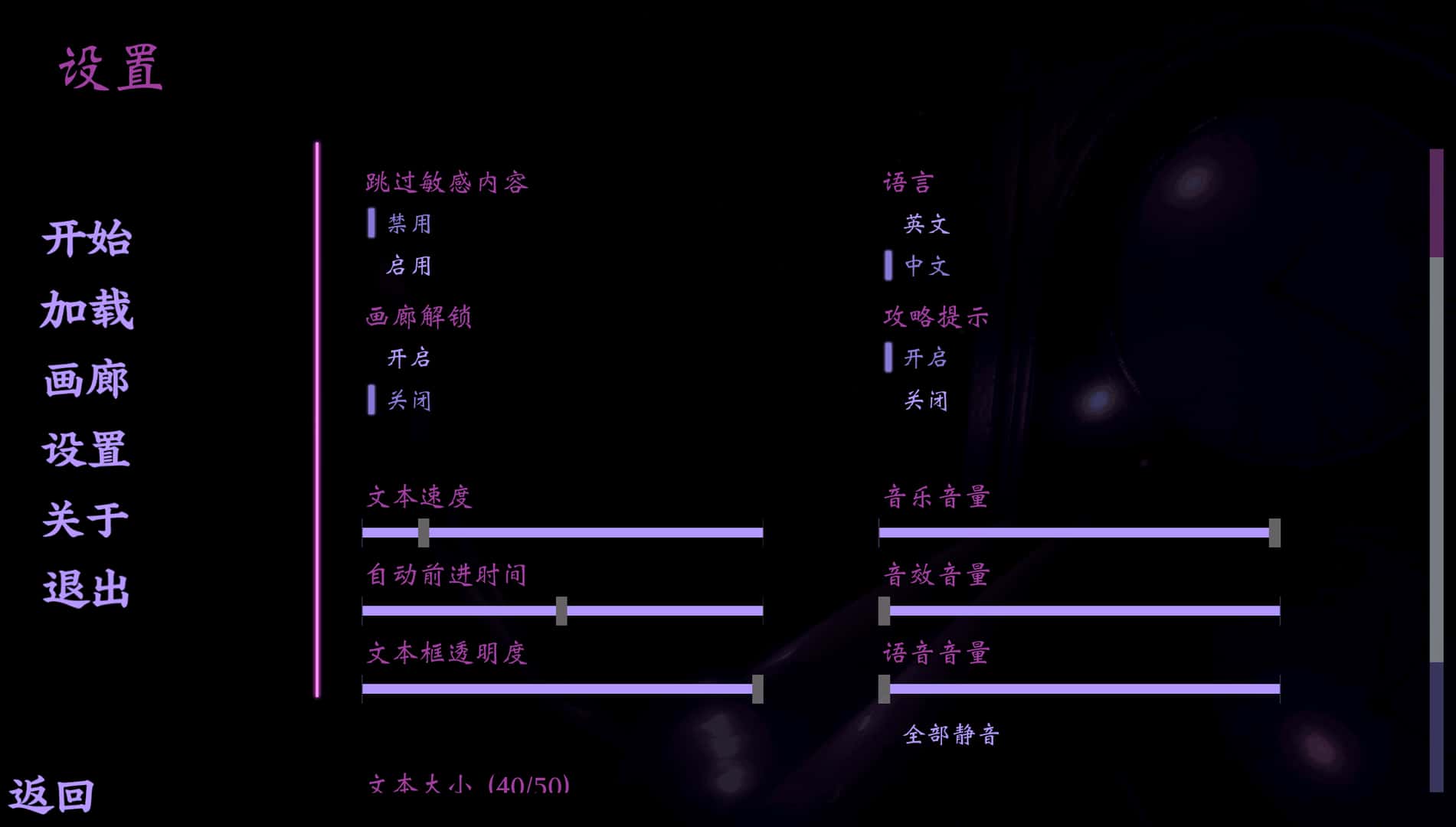 扭曲的记忆 超清精翻 版全息投影